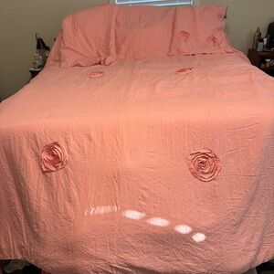 Romantic Rose Appliqué Comforter Set in Blush